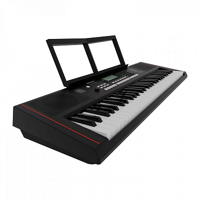 Синтезатор с автоаккомпанементом Roland E-X10